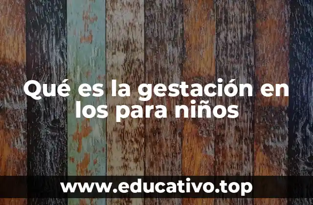 El proceso de desarrollo antes del nacimiento