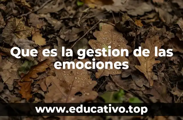 Que es la gestion de las emociones