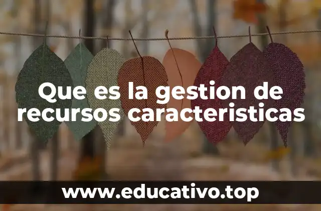 Cómo la gestión de recursos se diferencia en empresas grandes y pequeñas
