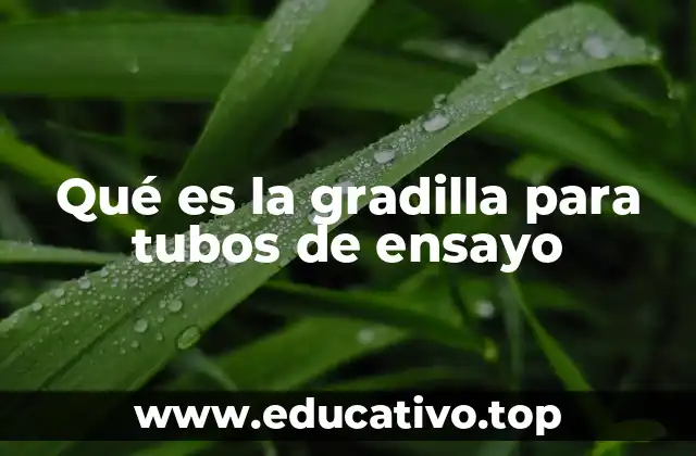 Qué es la gradilla para tubos de ensayo