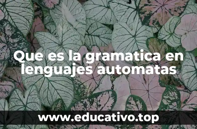 Que es la gramatica en lenguajes automatas