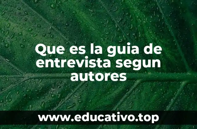 Que es la guia de entrevista segun autores