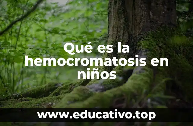 Qué es la hemocromatosis en niños