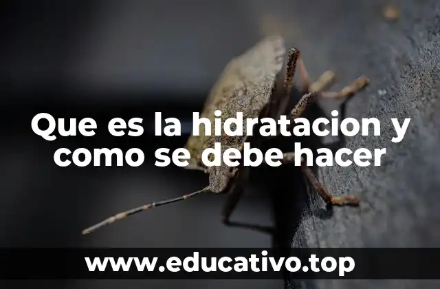 Que es la hidratacion y como se debe hacer