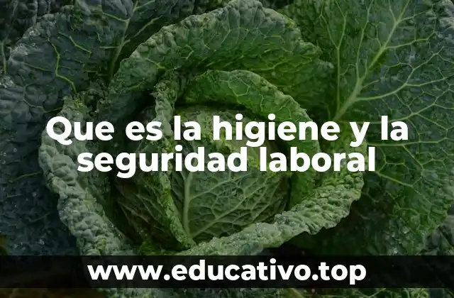 La importancia de un entorno laboral saludable