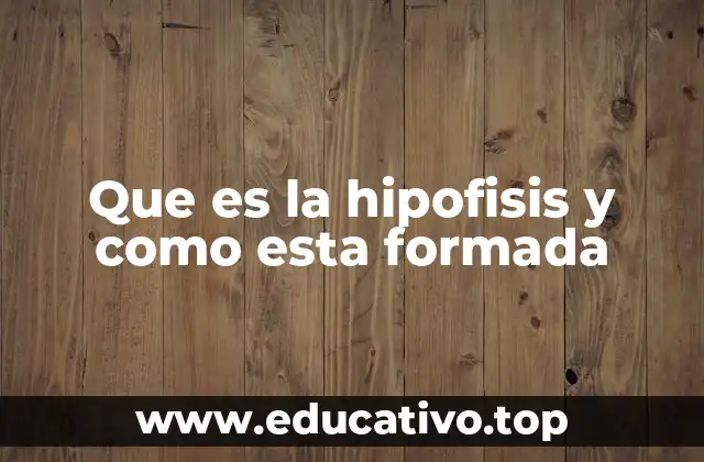 Que es la hipofisis y como esta formada