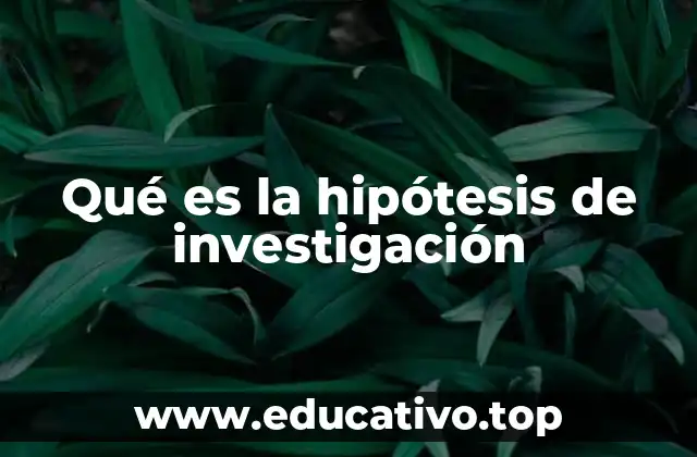 El papel de las suposiciones en la investigación científica