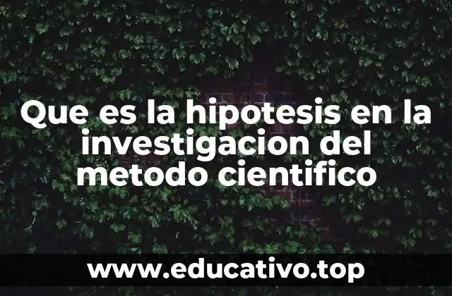 Que es la hipotesis en la investigacion del metodo cientifico