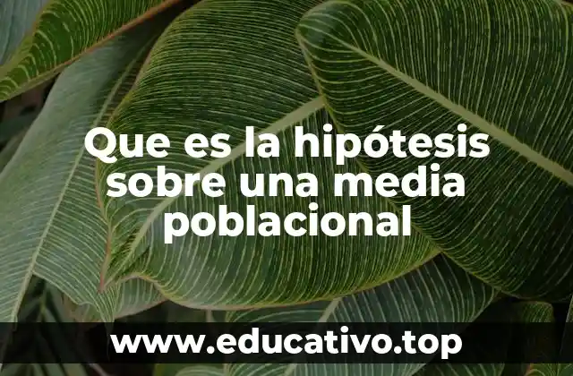 El rol de la estadística inferencial en las hipótesis sobre medias poblacionales