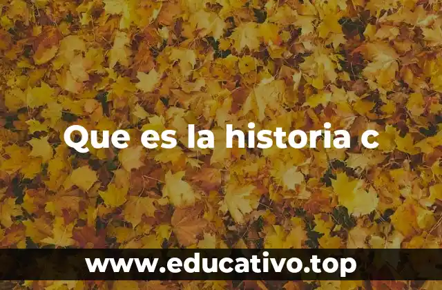 Que es la historia c