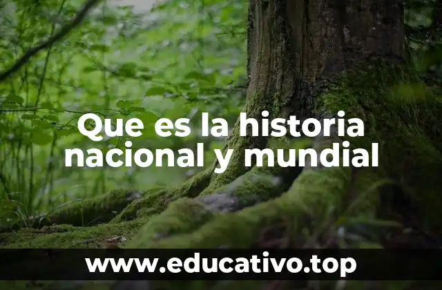 Que es la historia nacional y mundial