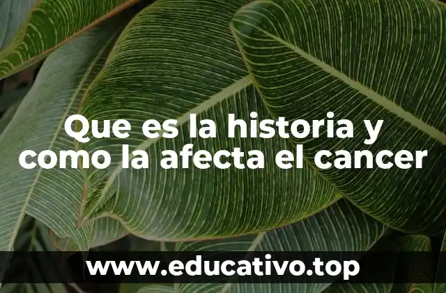 Que es la historia y como la afecta el cancer