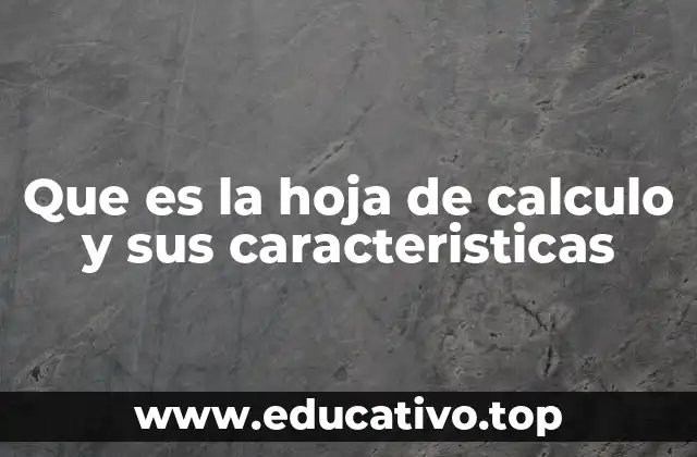 Que es la hoja de calculo y sus caracteristicas