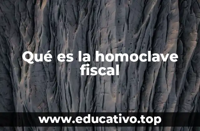 La importancia de la homoclave en el sistema fiscal mexicano