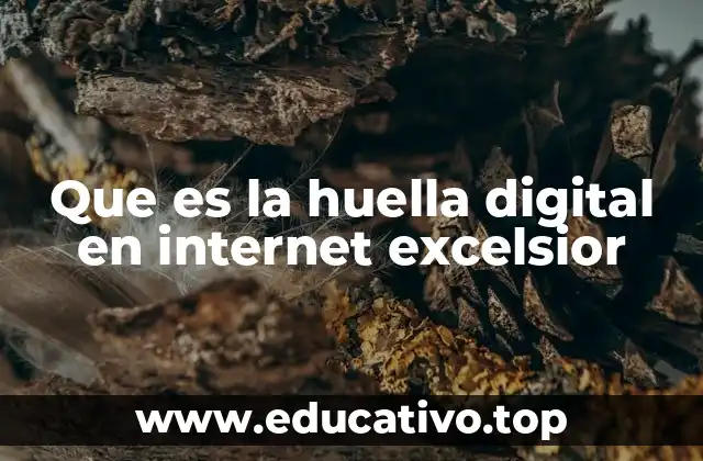 Que es la huella digital en internet excelsior