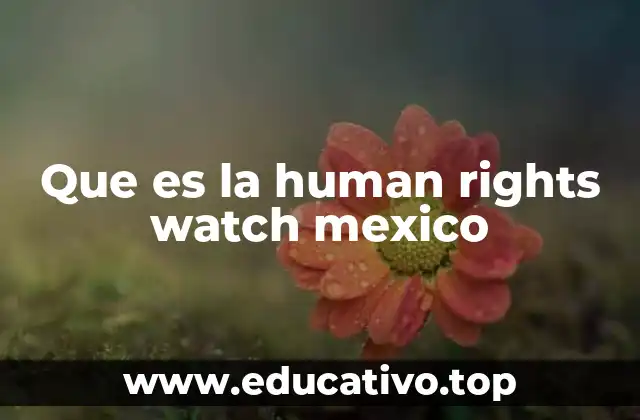 Que es la human rights watch mexico