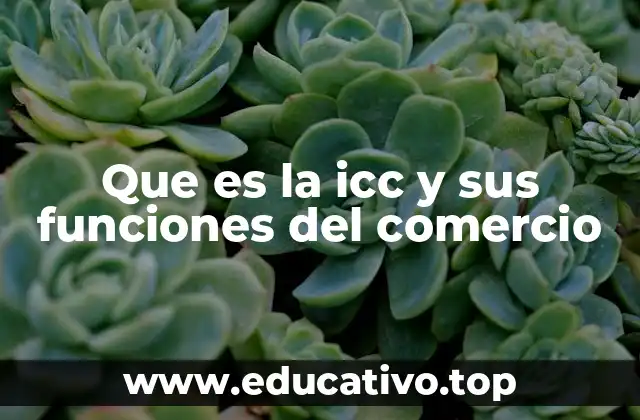 Que es la icc y sus funciones del comercio