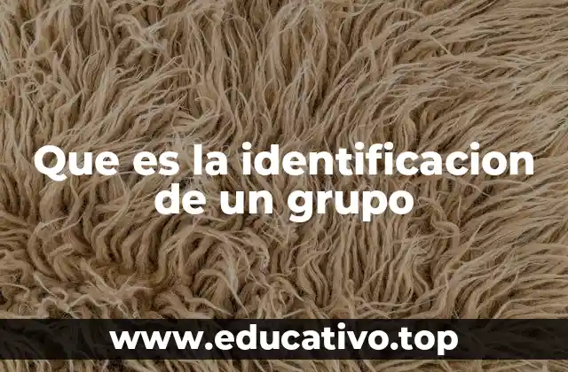 Que es la identificacion de un grupo