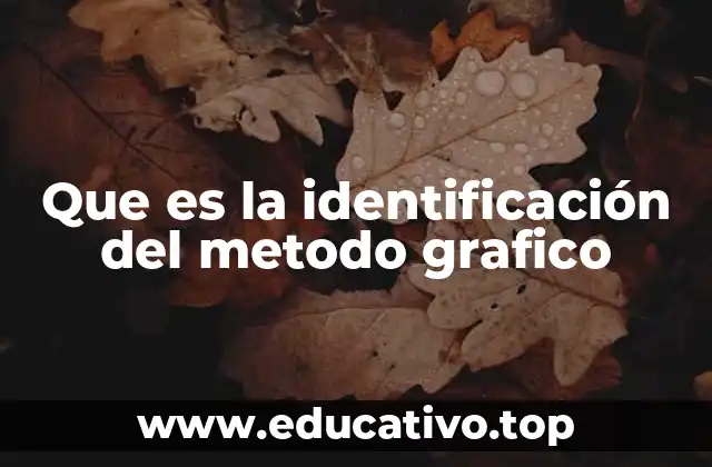 Que es la identificación del metodo grafico