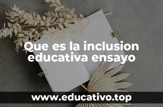 Que es la inclusion educativa ensayo
