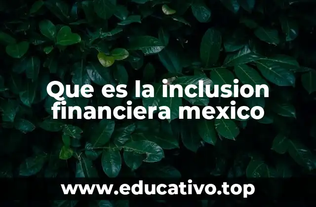 Que es la inclusion financiera mexico