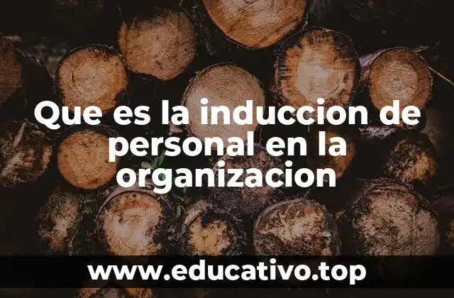 Que es la induccion de personal en la organizacion