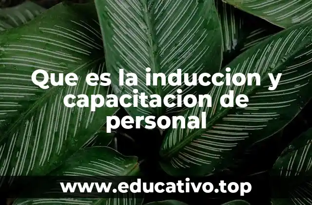 Que es la induccion y capacitacion de personal
