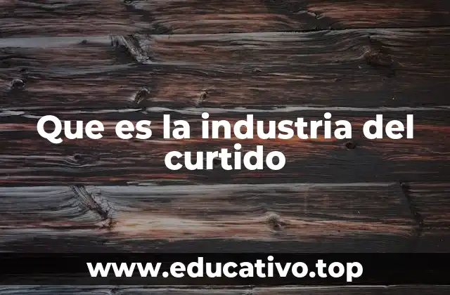 Que es la industria del curtido