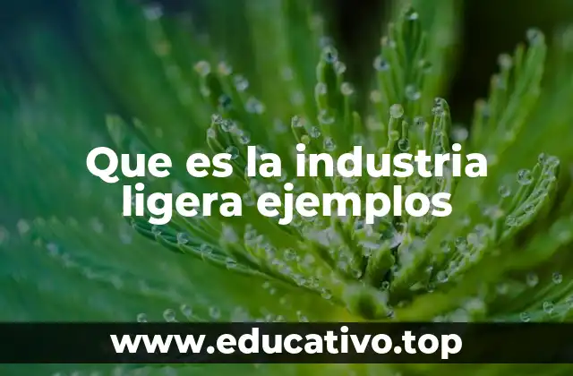 Que es la industria ligera ejemplos