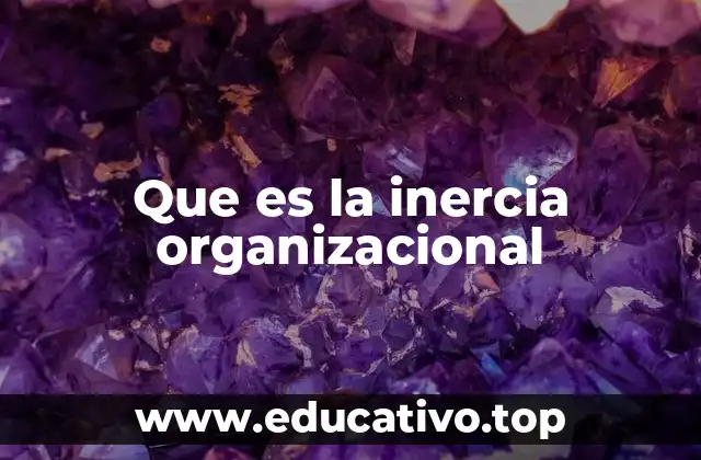Que es la inercia organizacional