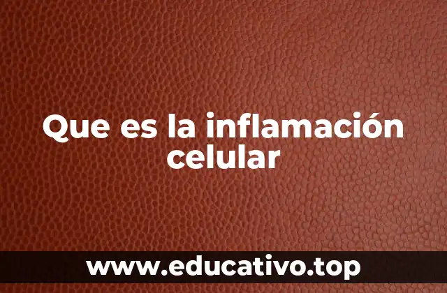 Mecanismos detrás de la respuesta inflamatoria