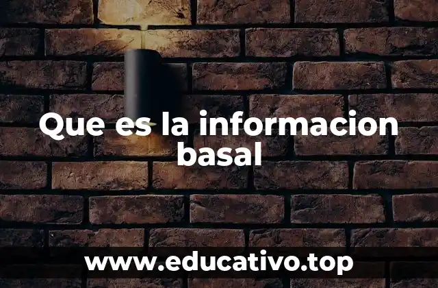 Que es la informacion basal