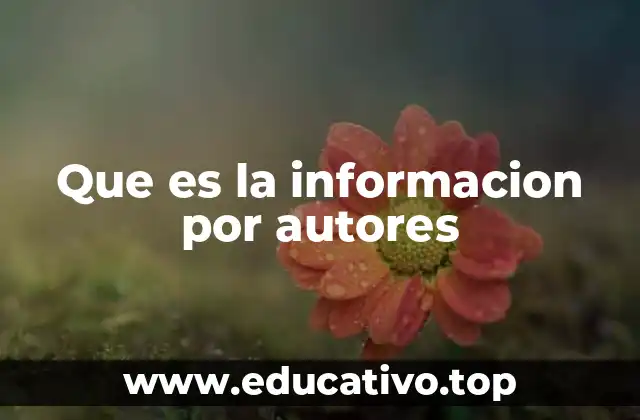 Que es la informacion por autores