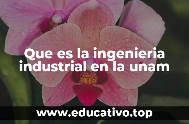 Que es la ingenieria industrial en la unam