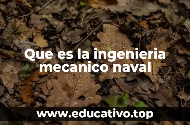 El papel de la ingeniería en el transporte marítimo