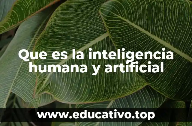 Que es la inteligencia humana y artificial