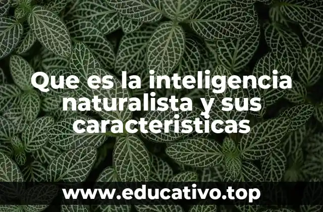 Que es la inteligencia naturalista y sus caracteristicas