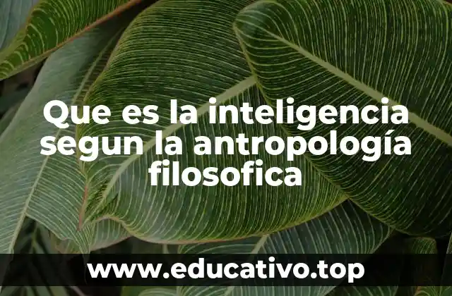 Que es la inteligencia segun la antropología filosofica