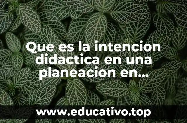 El papel de la intención didáctica en la planificación de clases de matemáticas