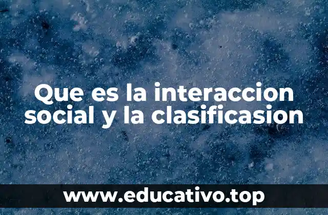 Que es la interaccion social y la clasificasion