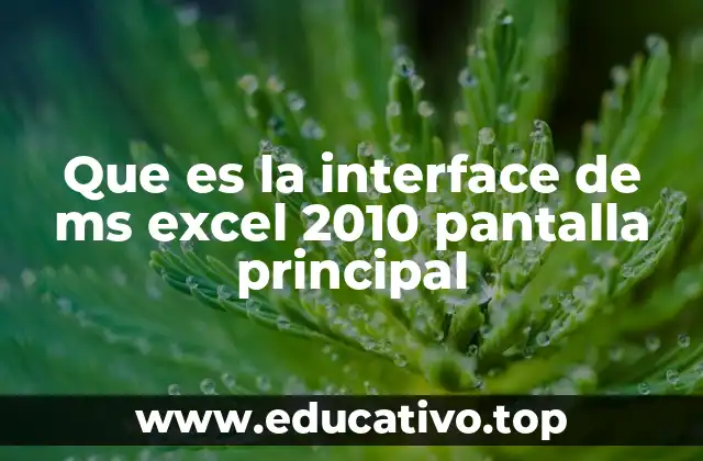 Que es la interface de ms excel 2010 pantalla principal