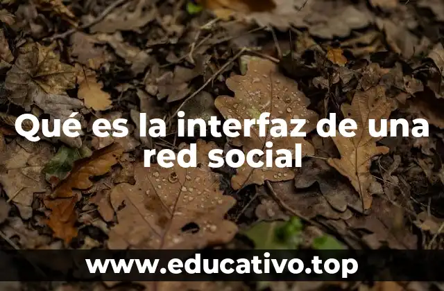 Qué es la interfaz de una red social
