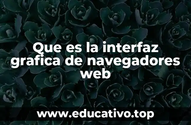 Que es la interfaz grafica de navegadores web