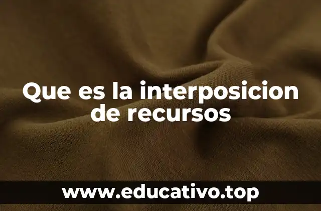 Que es la interposicion de recursos