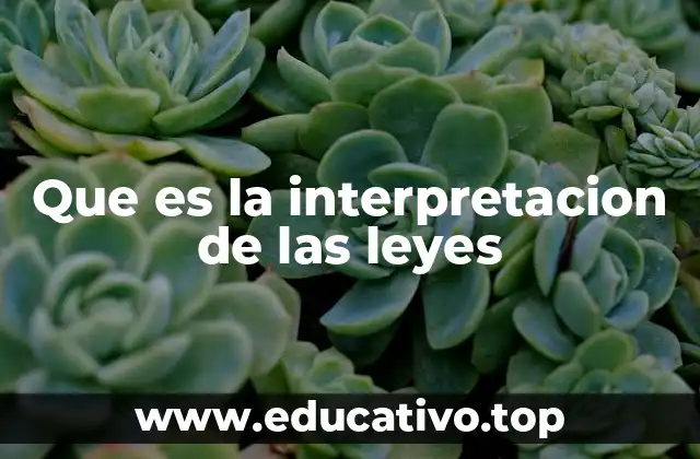Que es la interpretacion de las leyes