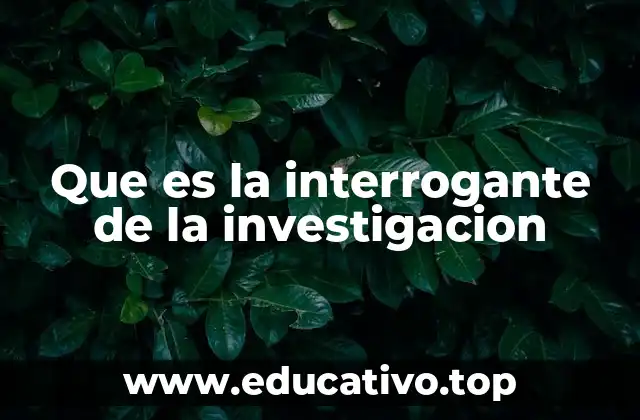 Que es la interrogante de la investigacion