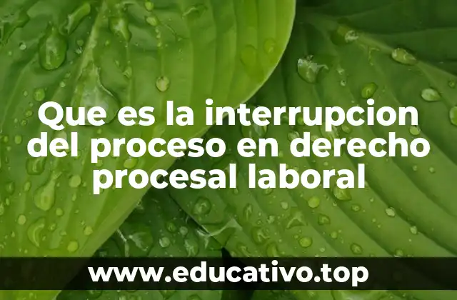 Que es la interrupcion del proceso en derecho procesal laboral