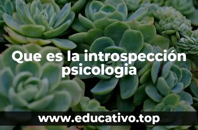 Que es la introspección psicologia