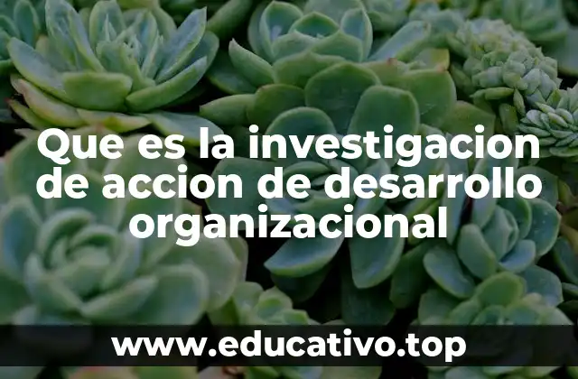 Que es la investigacion de accion de desarrollo organizacional