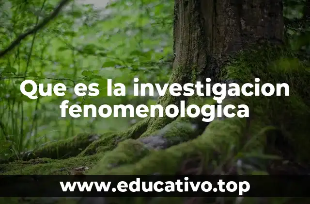 Que es la investigacion fenomenologica
